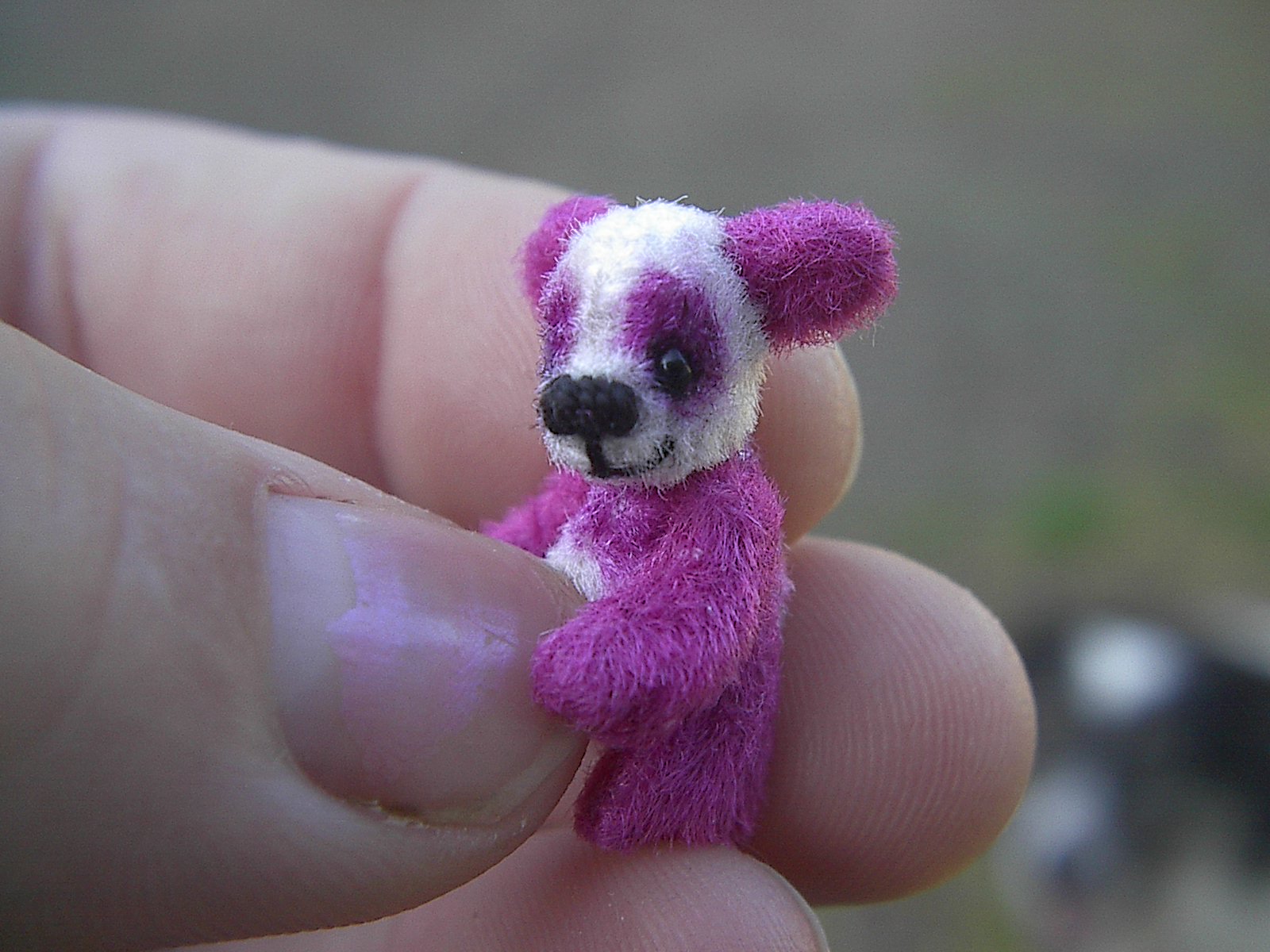 purplepanda1.jpg